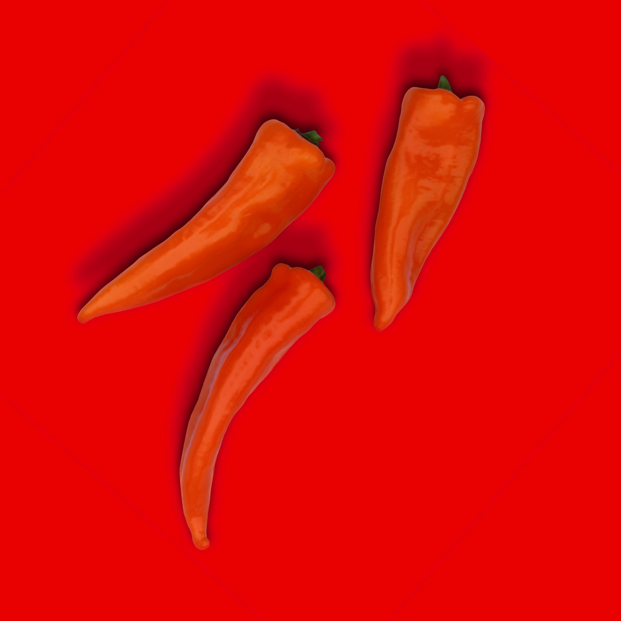 Red chili peppers of red background