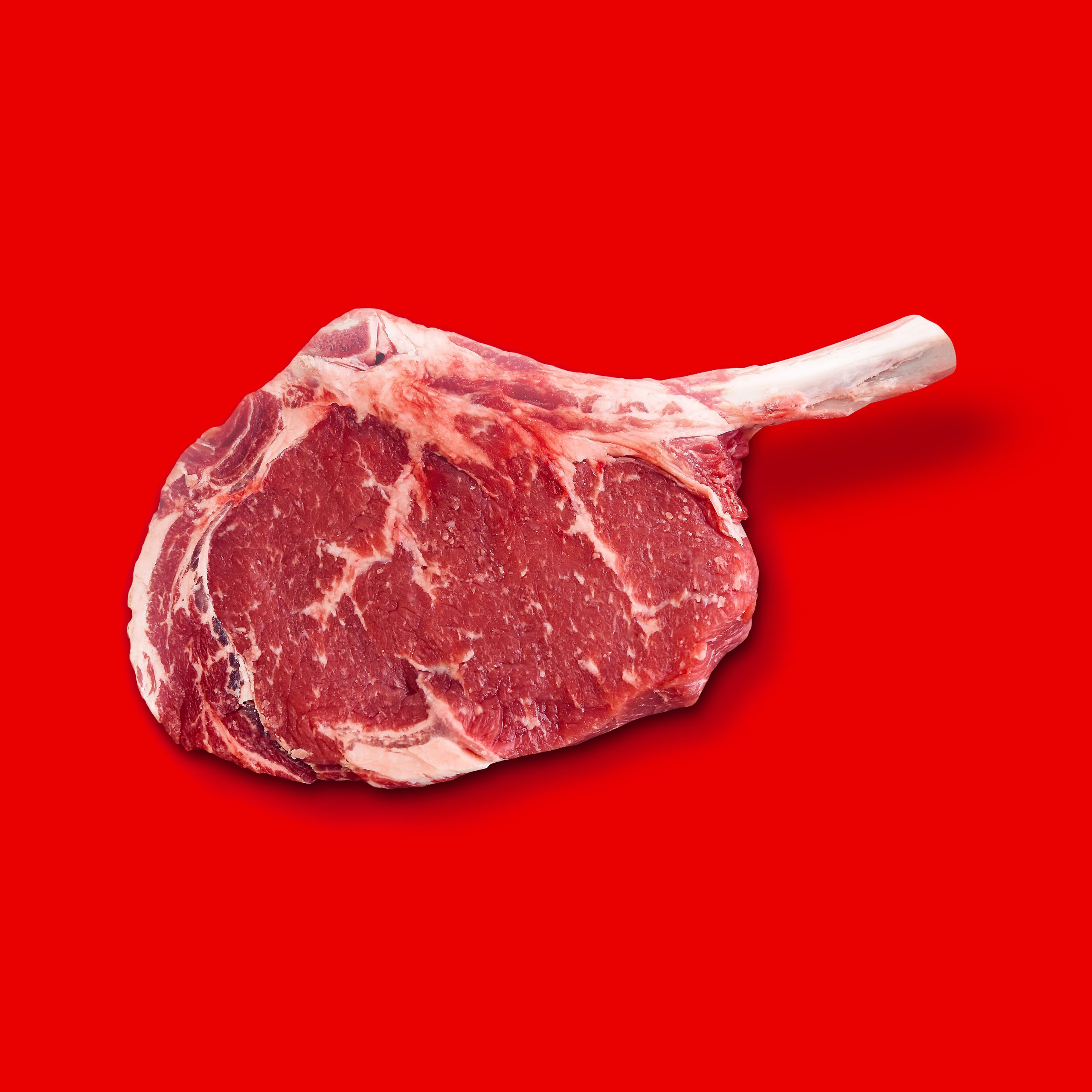 Steak on red background